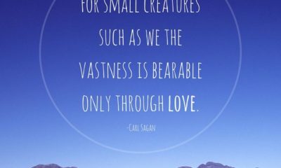 Small Creatures