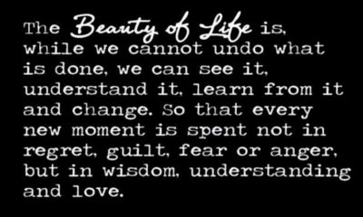 The Beauty Of Life