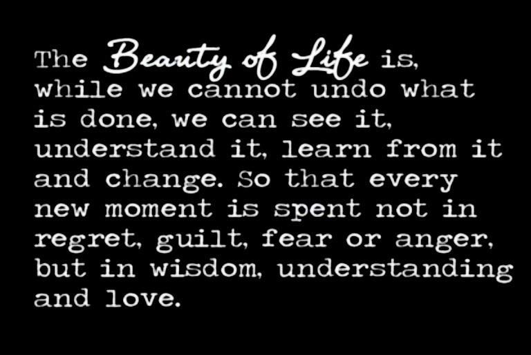 The Beauty Of Life