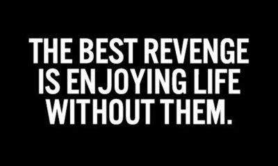 The Best Revenge