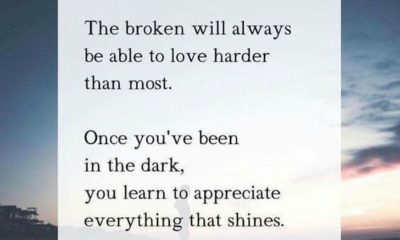 The Broken