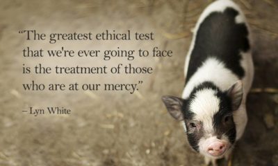 The Greatest Ethical Test Lyn White Daily Quotes Sayings Pictures