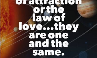 The Law Of Attraction