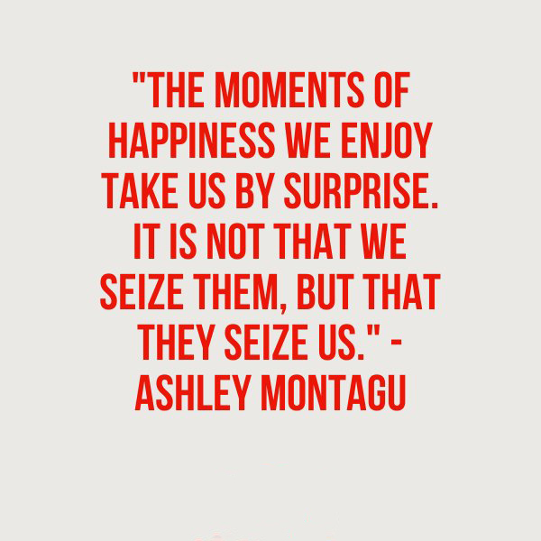 The Moments Of Happiness