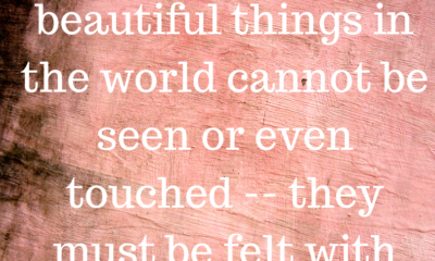 The Most Beautiful Things