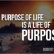 The Purpose Of Life