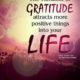 The Vibration Of Gratitude