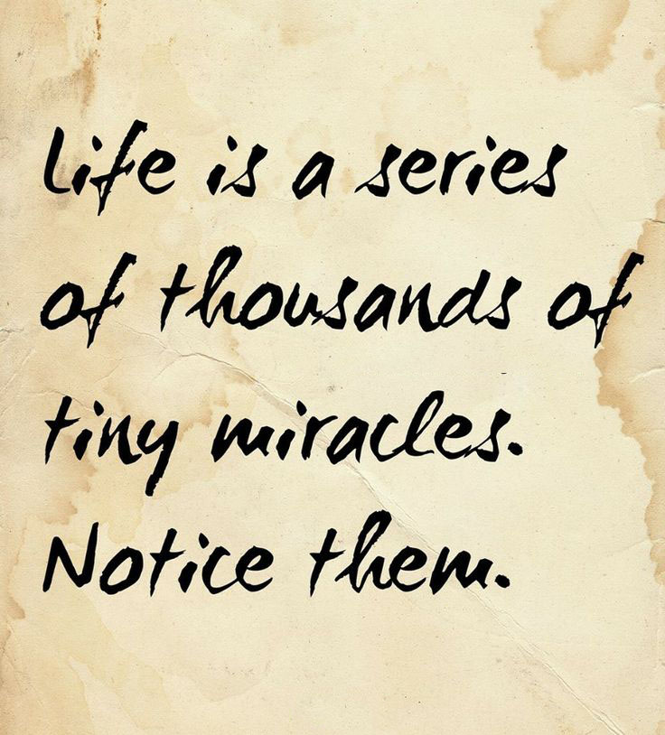Tiny Miracles