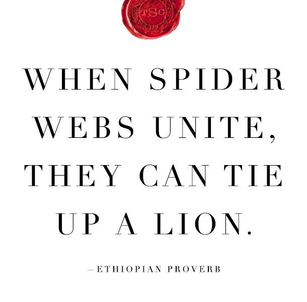 When Spider Webs Unite