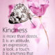 1490156367 617 Kindness