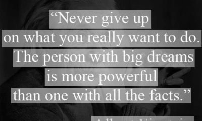 1490339686 336 Never Give Up