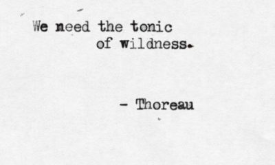 The Tonic Of Wildness