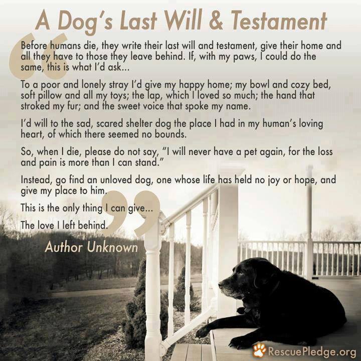 A Dogs Last Will Testament