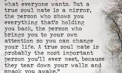 A Soul Mate