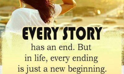 Every Story