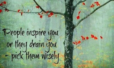 Inspire Or Drain