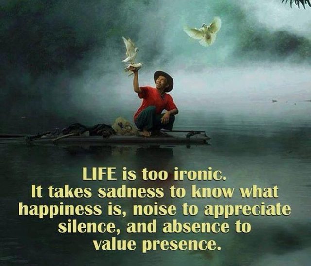 Life Is Too Ironic