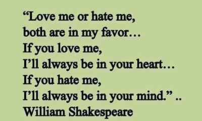 Love Me Or Hate Me