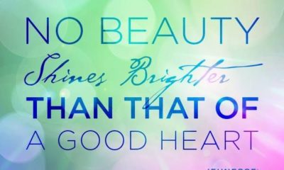 No Beauty Shines Brighter