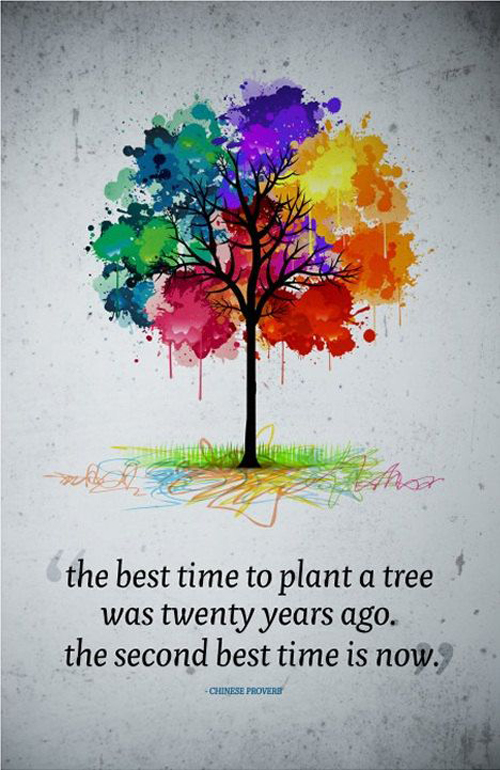 Plant A Tree