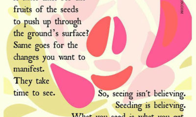 Plant Seeds