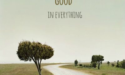 The Good In Everything