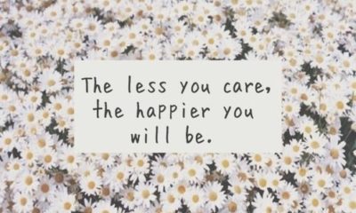 The Less You Care