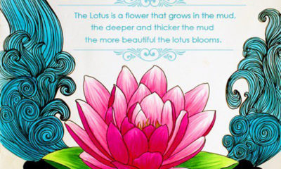 The Lotus Flower