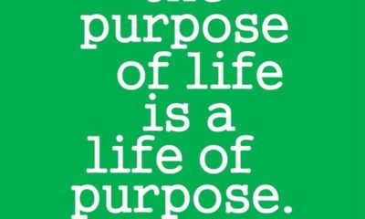 The Purpose Of Life