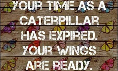 Time As A Caterpillar