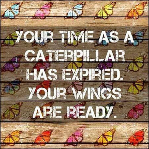 Time As A Caterpillar