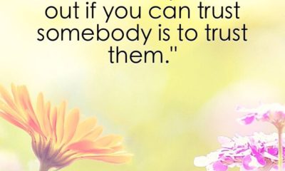 Trust Somebody