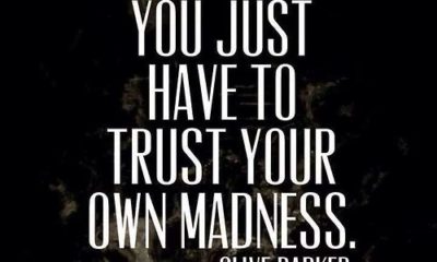 Trust Your Madness