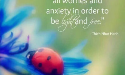 Worries Anxiety