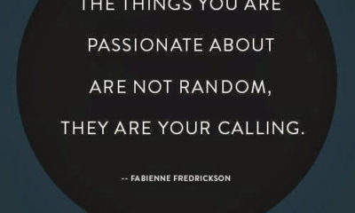 You Are Passionate About