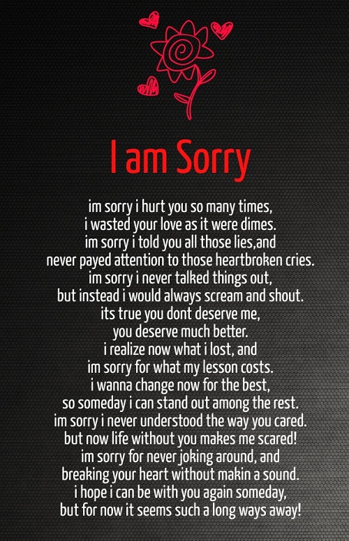 I am Sorry Love Quotes for Her