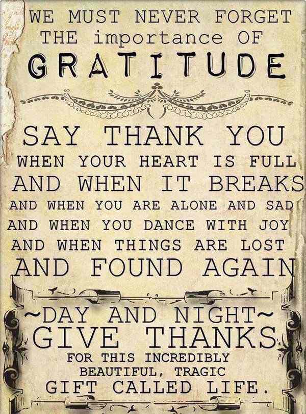 everyday thank you quotes