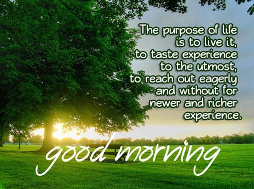 good-morning-inspirational-quotes-the-purpose-of-life
