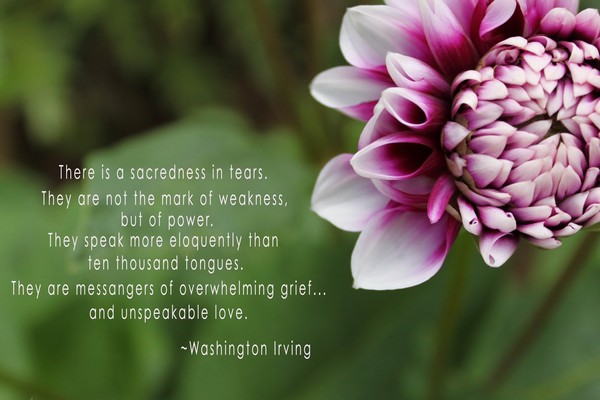 Grieving Quotes