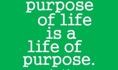 1493061951 974 The Purpose Of Life