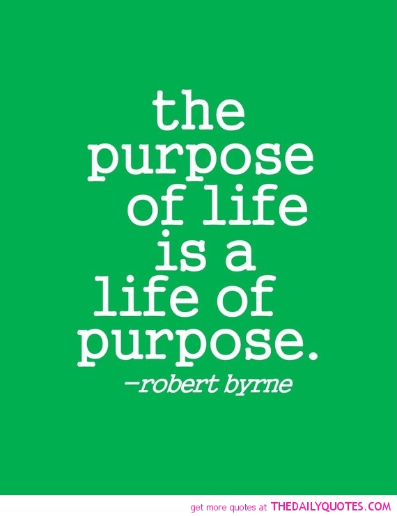 1493061951 974 The Purpose Of Life