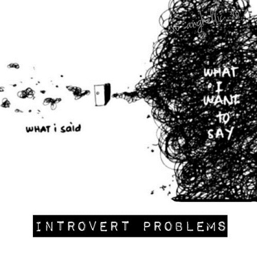 Introvert Problems Struggle Quotes