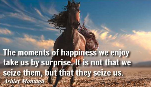 Motivational Best Quotes About Happy Moments
