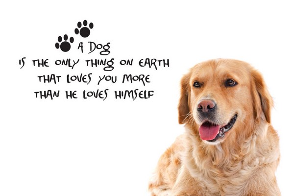 Dog Quotes Loss