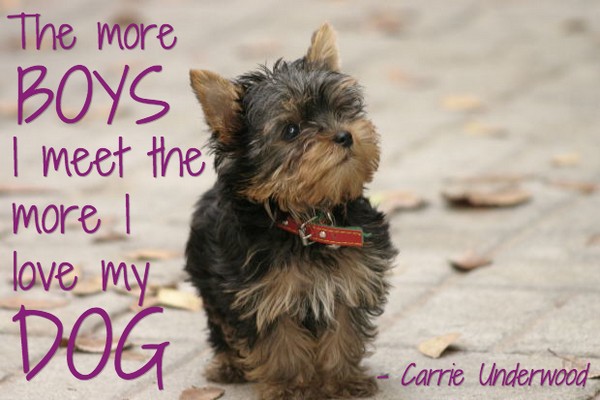 Nice Dog Quotes