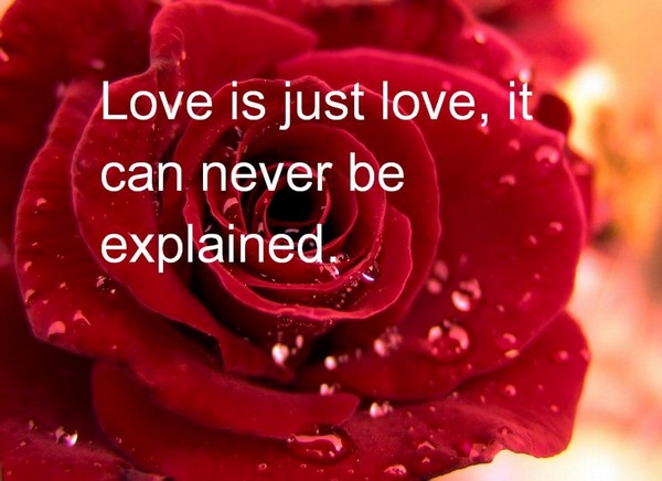 Wise Sayings About Love