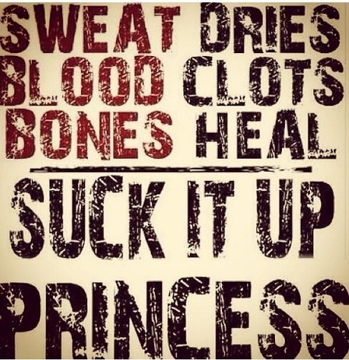 Suck it Up Gym Quotes