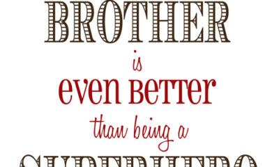 1493425392 383 27 Best Brother Quotes With Images