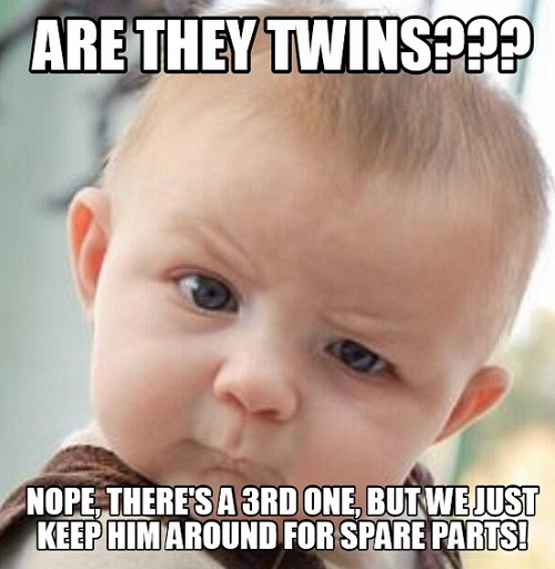21 Funny Twin Quotes and Sayings with Images - Word Porn Quotes, Love  Quotes, Life Quotes, Inspirational Quotes