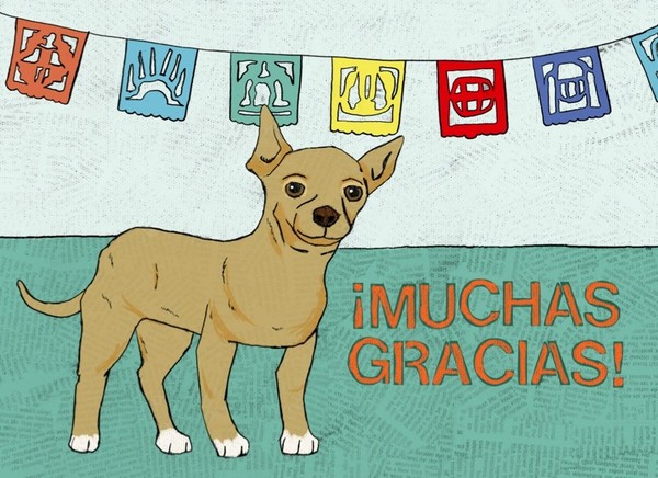 Chihuahua-Muchas Gracias